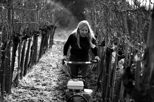 files/images/winemakers/austria/Barbara Ohlzeit, Kamptal/barbara Ohlzeit BW.jpg