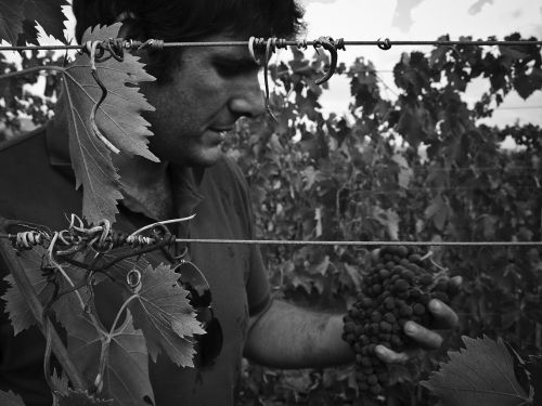 files/images/winemakers/italy/simone-castelli/Simone_Castelli.jpg